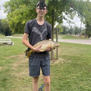 Mirror Carp