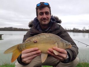 Mirror Carp