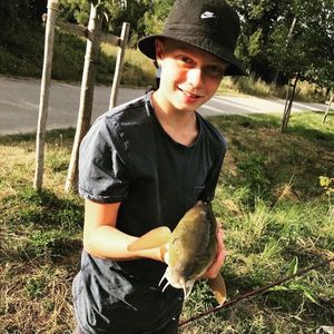 Barbel