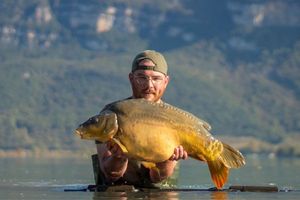 Mirror Carp