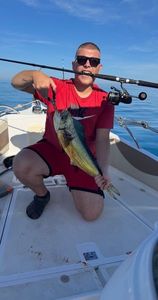 Dolphinfish