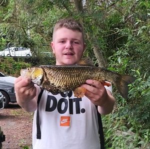 Chub