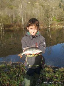 European Perch