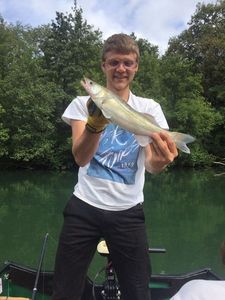 Zander