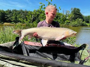 Grass Carp