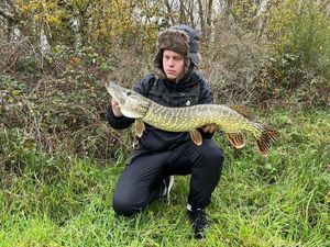 Northern Pike