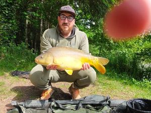 Mirror Carp