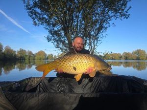 Common Carp