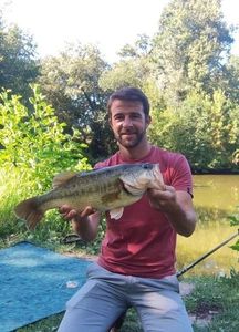 Largemouth Bass