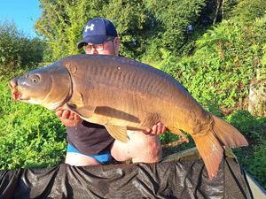 Mirror Carp
