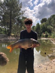 Mirror Carp