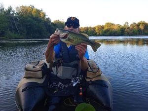 Largemouth Bass