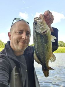 Largemouth Bass