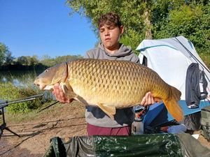 Common Carp
