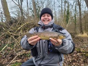 Brown Trout