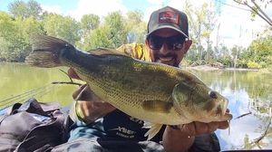 Largemouth Bass