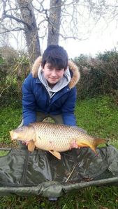 Common Carp