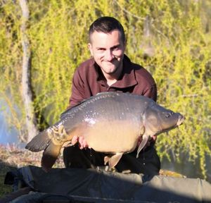 Mirror Carp