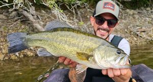 Largemouth Bass