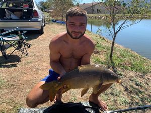 Mirror Carp