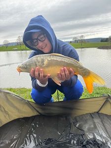 Mirror Carp