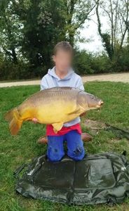Mirror Carp