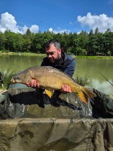 Mirror Carp