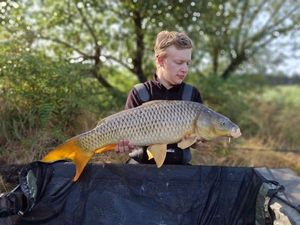 Common Carp