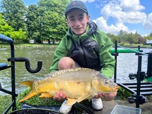 Mirror Carp