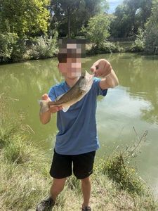 Largemouth Bass