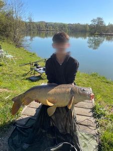 Mirror Carp