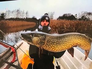 Northern Pike