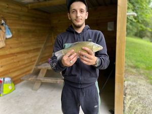Tench