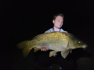 Mirror Carp