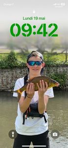 Common Bream