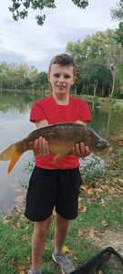 Mirror Carp
