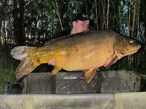 Mirror Carp