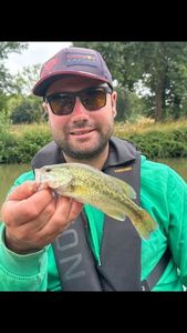 Largemouth Bass