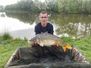 Mirror Carp