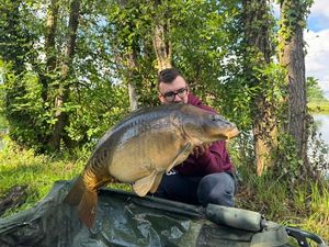 Mirror Carp