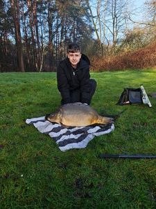 Common Carp