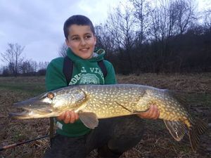 Northern Pike