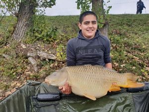 Common Carp