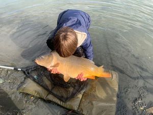 Mirror Carp
