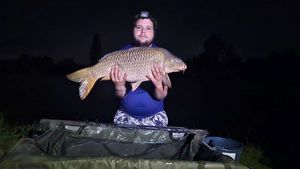 Common Carp