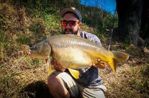 Mirror Carp