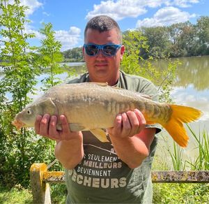 Mirror Carp