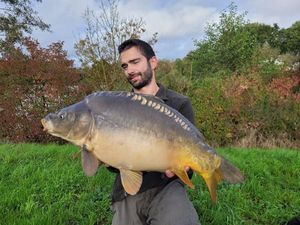 Mirror Carp