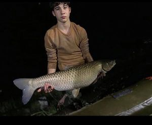 Mirror Carp