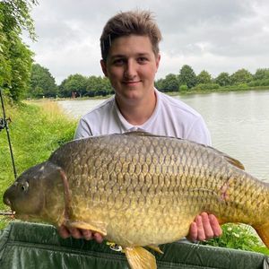 Common Carp